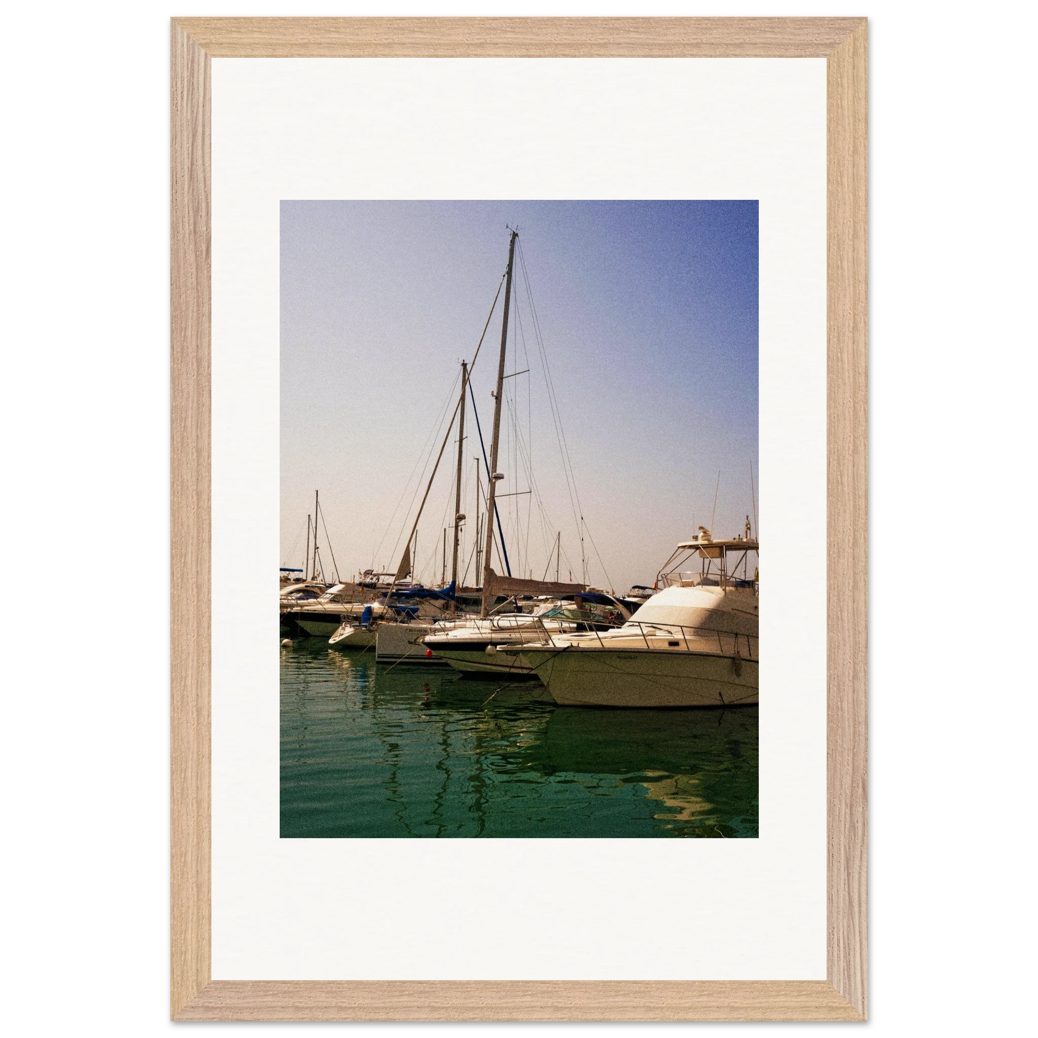 1d2545d1-6475-4649-9450-f5b875230949