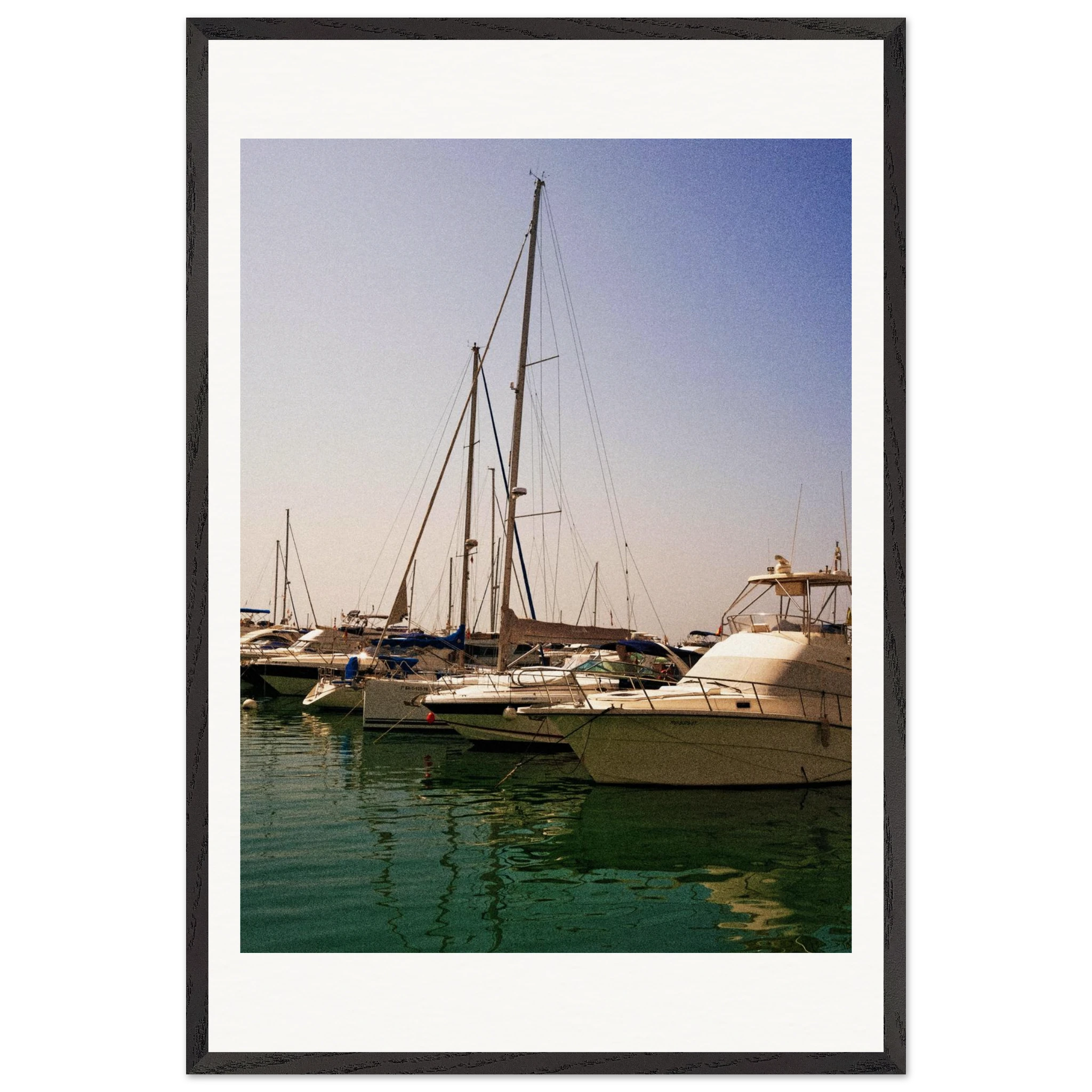 8506cfe2-4497-419f-98ba-73c0d4c64176